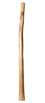 Natural Finish Didgeridoo (TW1490)